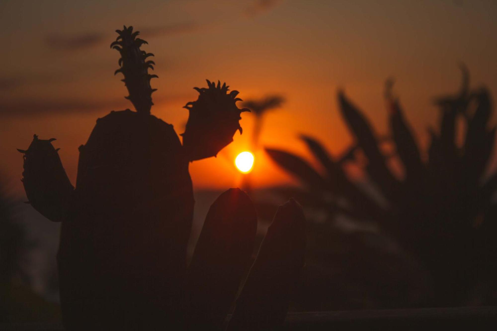 Coucher De Soleil อัมบาโตโลกา ภายนอก รูปภาพ